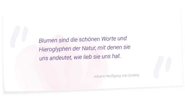 Spruch